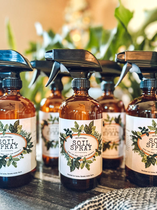 Natural Houseplant Soil Spray | Organic Plant Tonic, Root Support