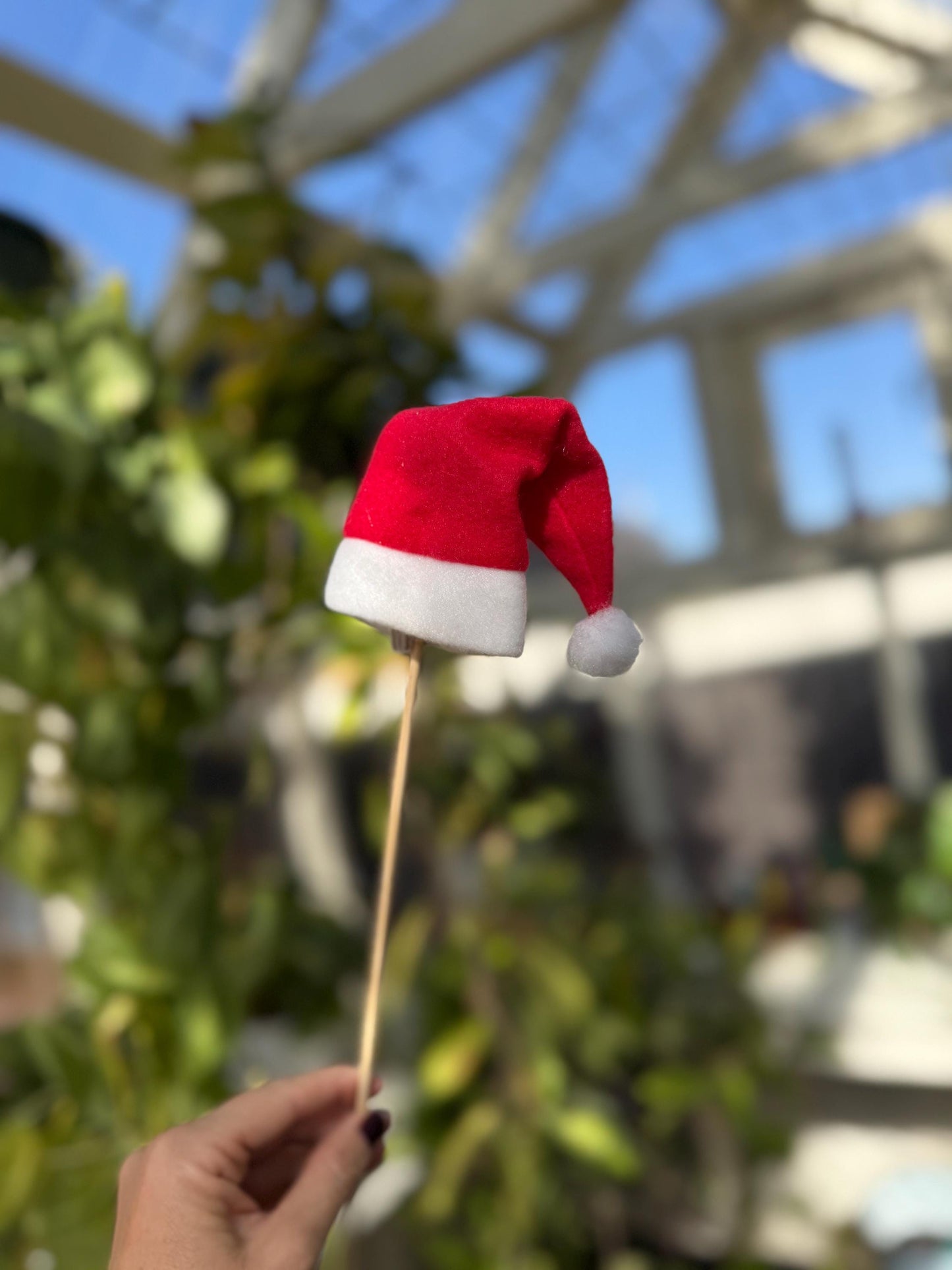 Santa Hat Christmas Plant Pick