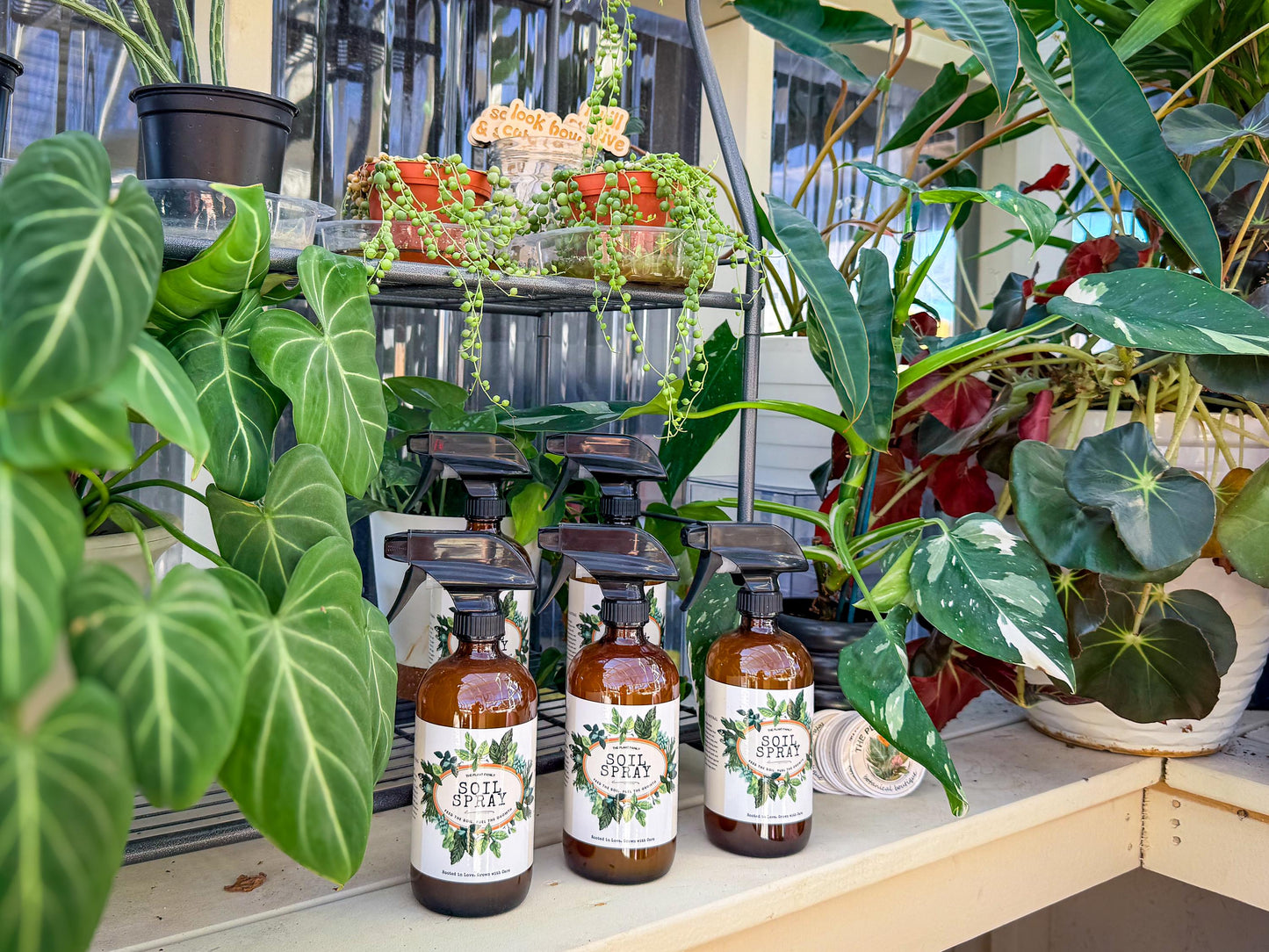 Natural Houseplant Soil Spray | Organic Plant Tonic, Root Support
