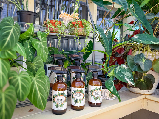 Natural Houseplant Soil Spray | Organic Plant Tonic, Root Support