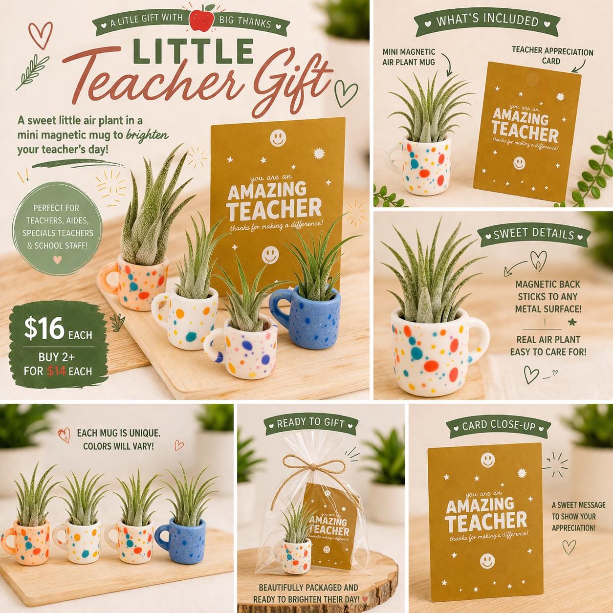 Mini Magnetic Air Plant Mug - Gift Bundle - Teacher Appreciation