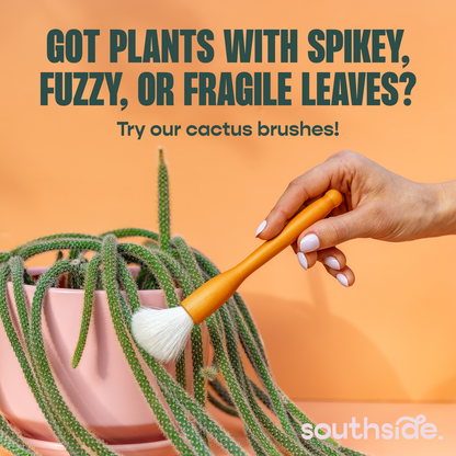 Houseplant Cleaning Wipes