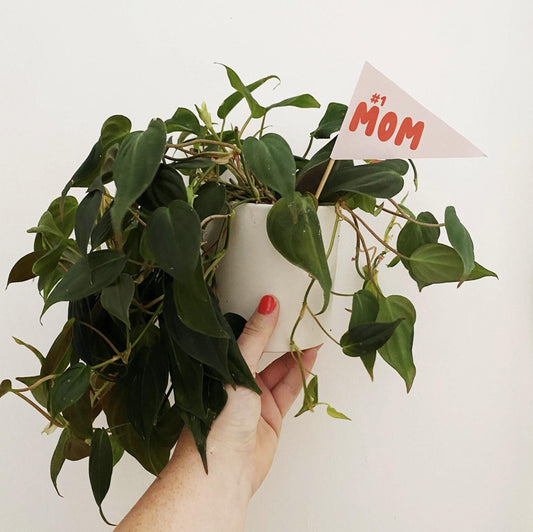 No. 1 MOM Pendant Flag