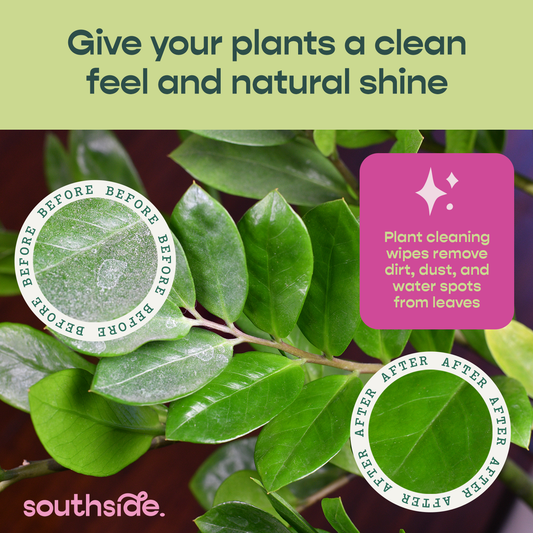 Houseplant Cleaning Wipes