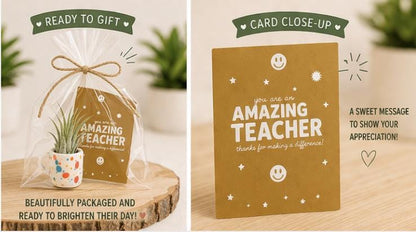 Mini Magnetic Air Plant Mug - Gift Bundle - Teacher Appreciation