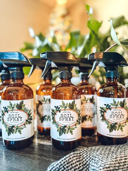 Natural Houseplant Soil Spray | Organic Plant Tonic, Root Support