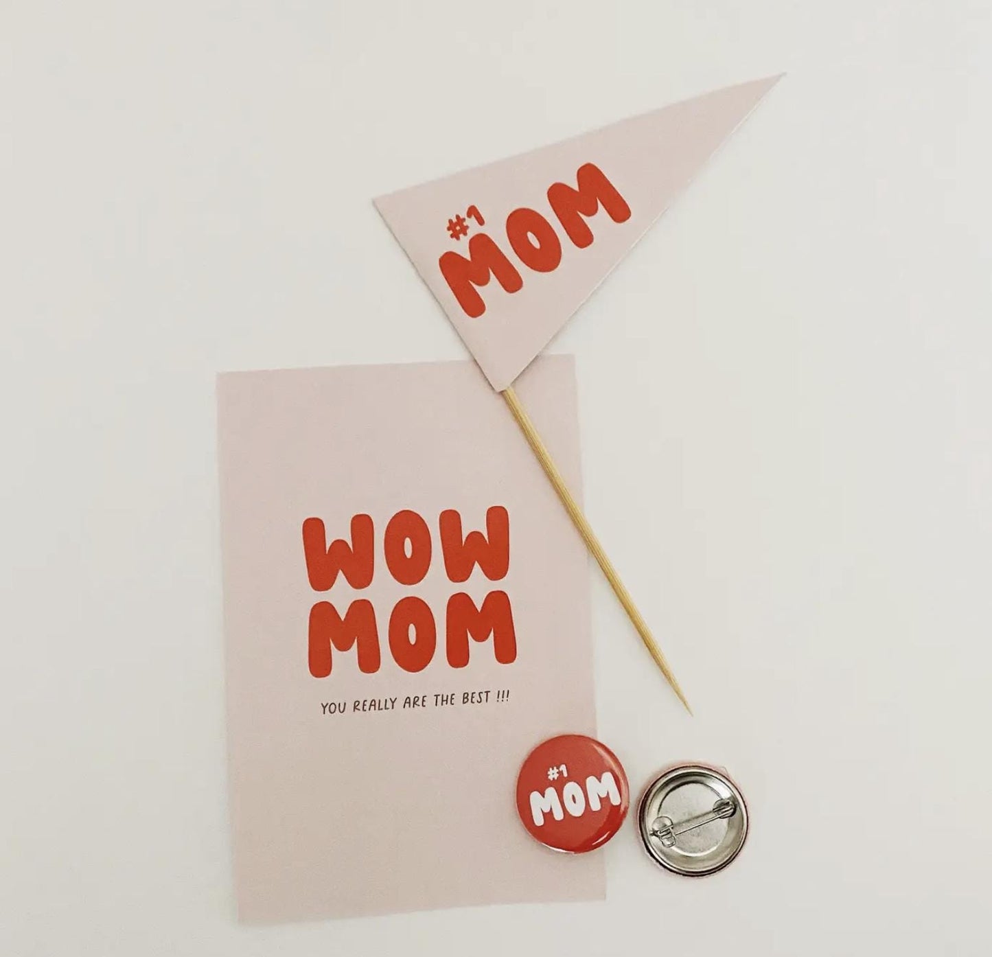 Anthurium Plant Gift Box for Mom | Mother’s Day Flowering Houseplant
