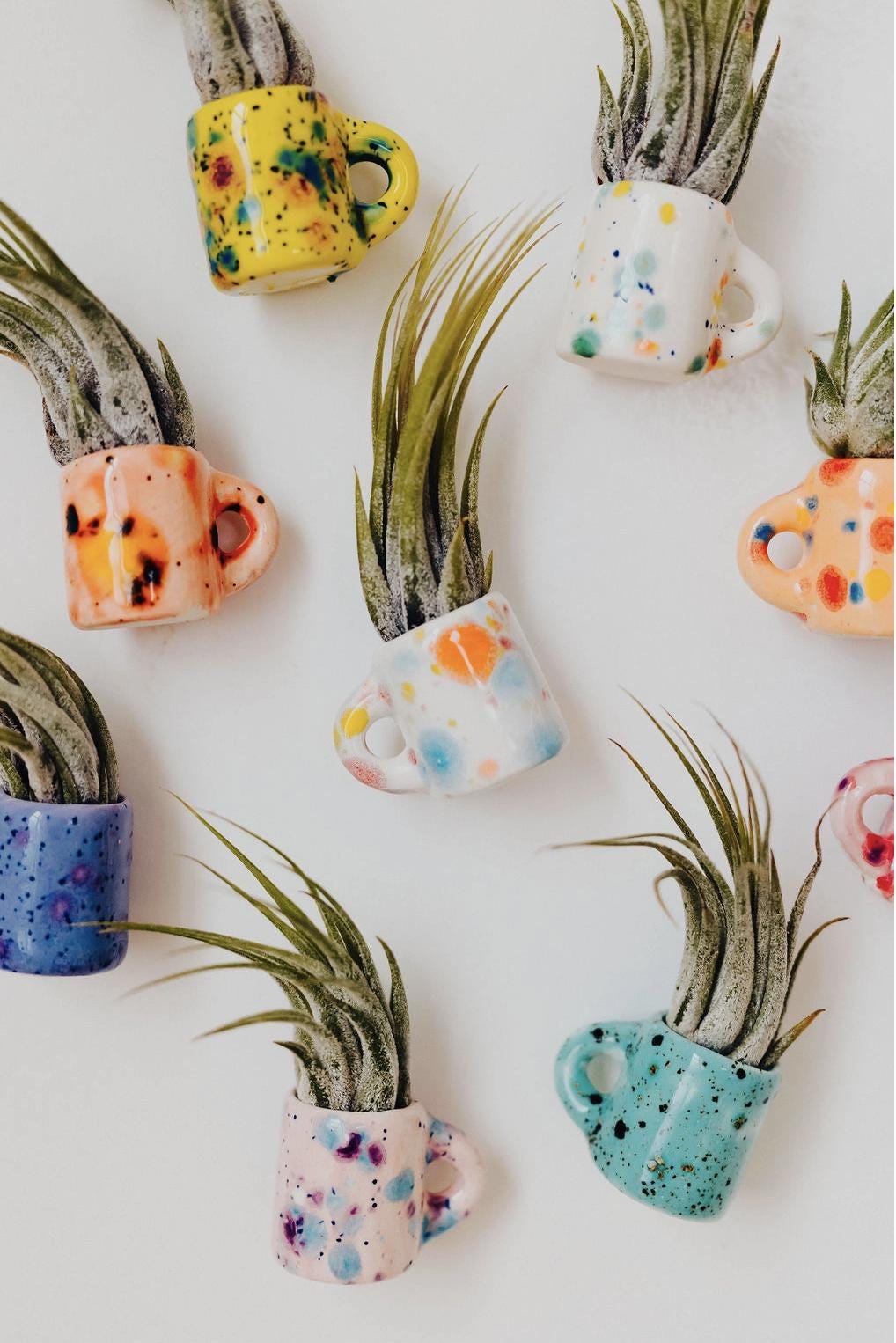 Mini Magnetic Air Plant Mug - Gift Bundle - Teacher Appreciation