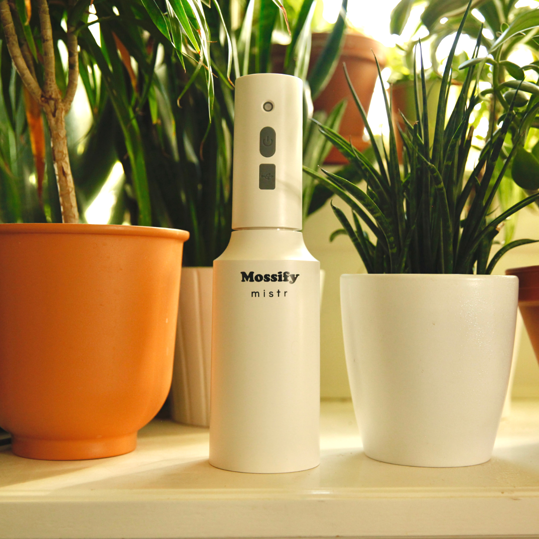 Mossify mistr – Automatic & Rechargeable Mister for Plants