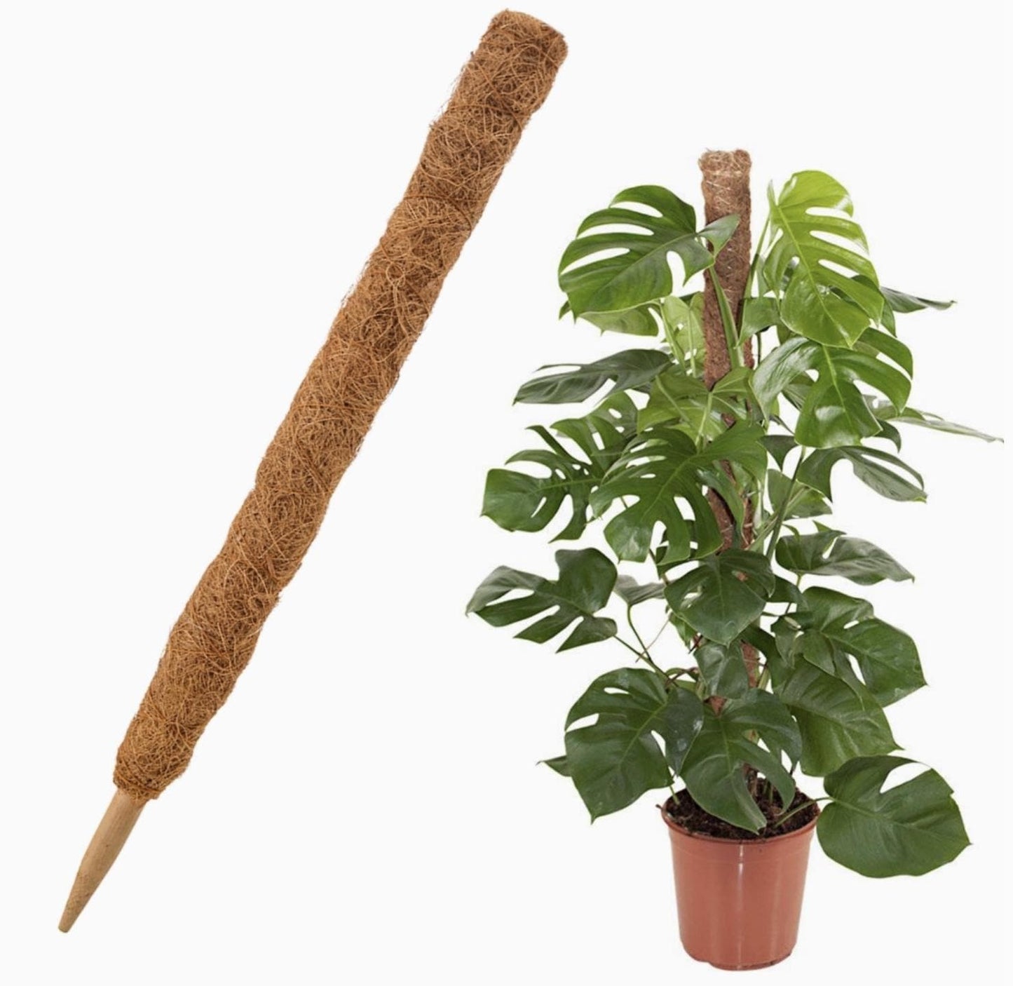 Coco Fiber Grow Pole For Houseplants