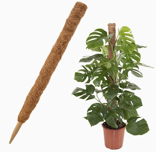Coco Fiber Grow Pole For Houseplants