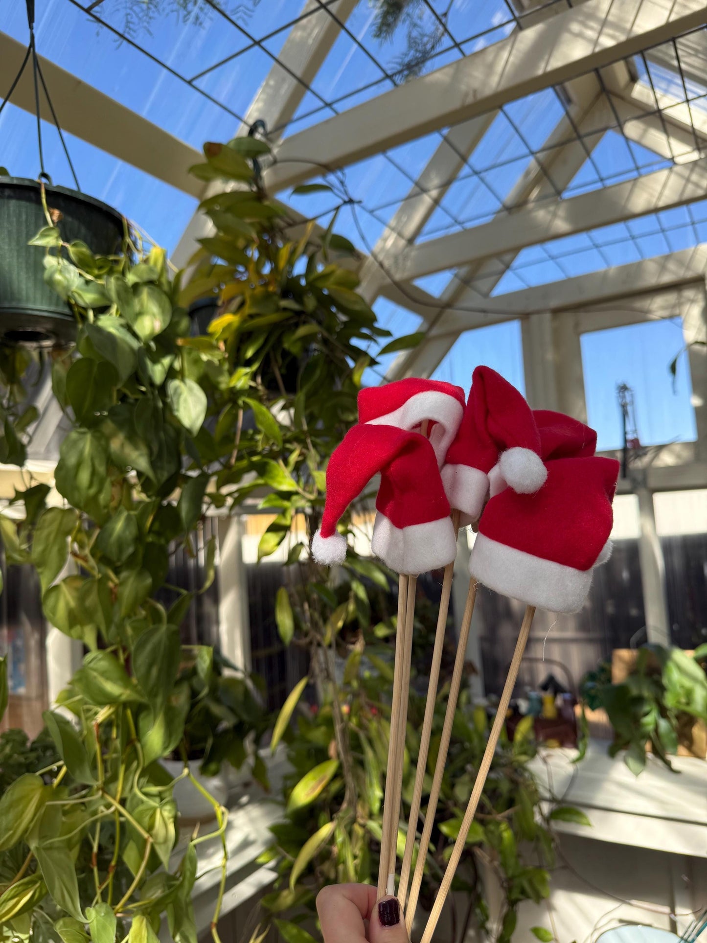 Santa Hat Christmas Plant Pick