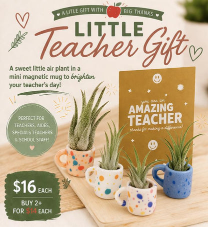 Mini Magnetic Air Plant Mug - Gift Bundle - Teacher Appreciation