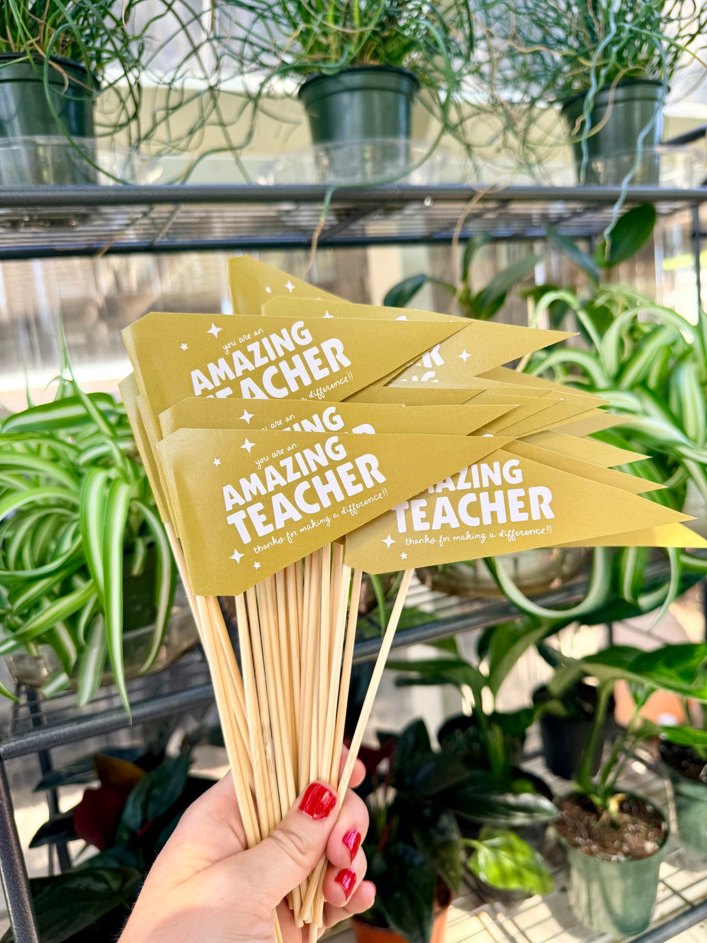 Teacher Appreciation Flag