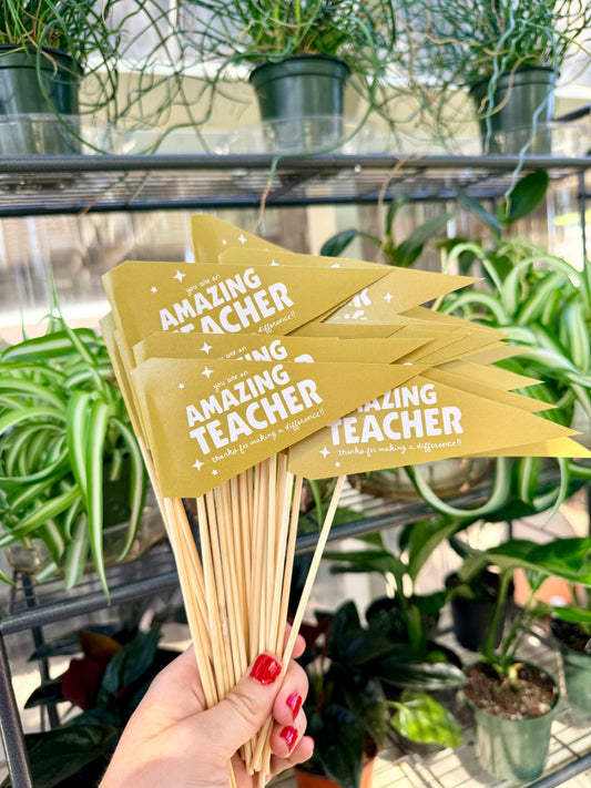 Teacher Appreciation Flag