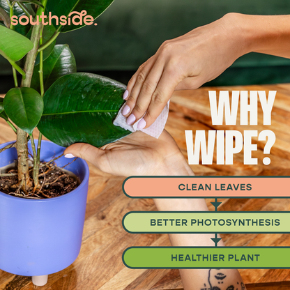 Houseplant Cleaning Wipes