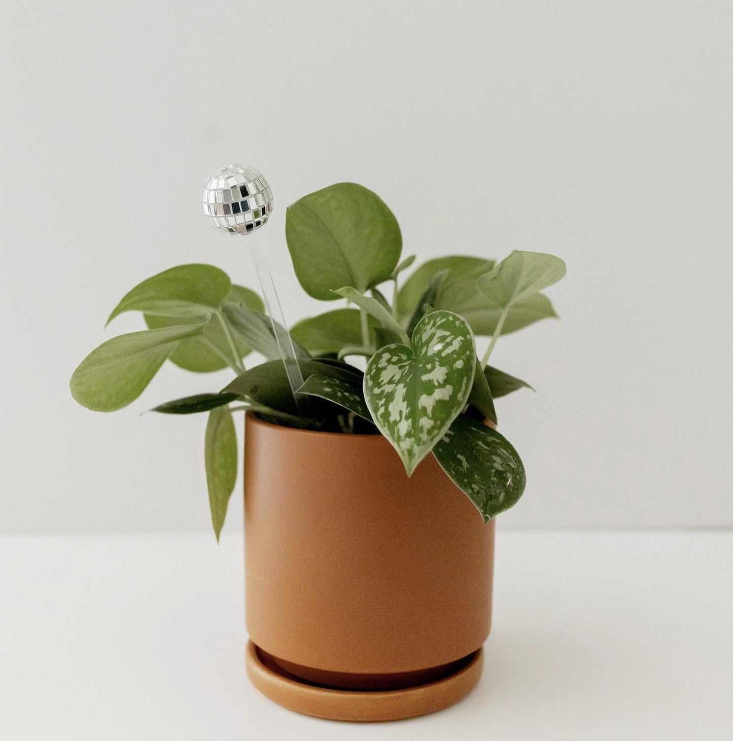 Disco Ball Plant Stick
