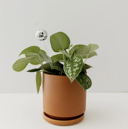 Disco Ball Plant Stick