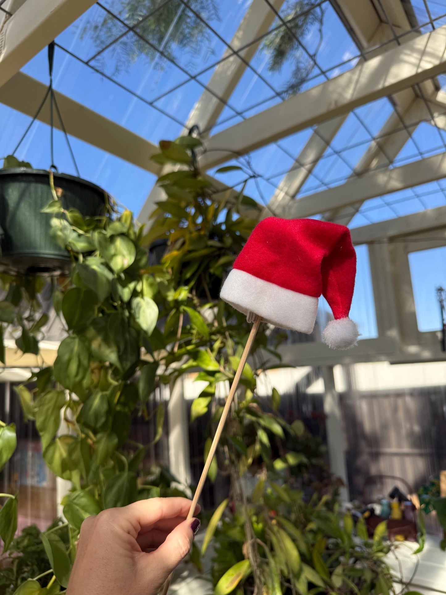 Santa Hat Christmas Plant Pick