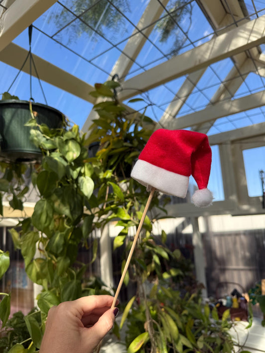 Santa Hat Christmas Plant Pick