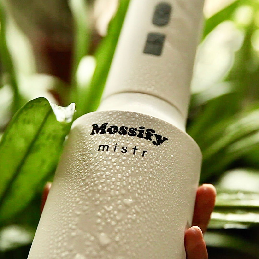 Mossify mistr – Automatic & Rechargeable Mister for Plants