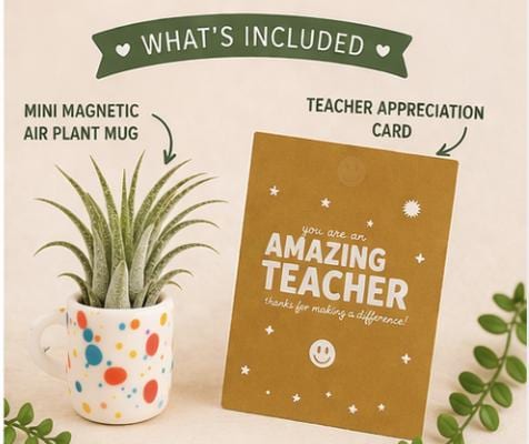Mini Magnetic Air Plant Mug - Gift Bundle - Teacher Appreciation