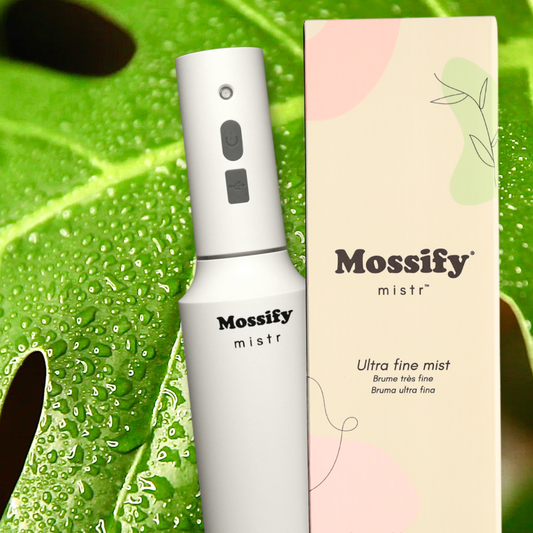 Mossify mistr – Automatic & Rechargeable Mister for Plants