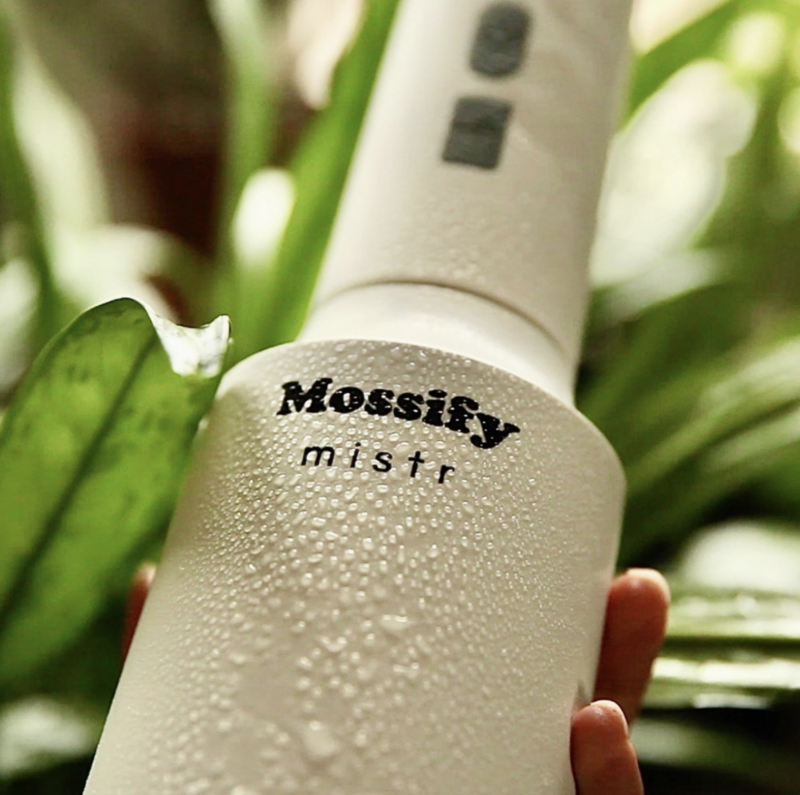 Mossify mistr™ - Image 3