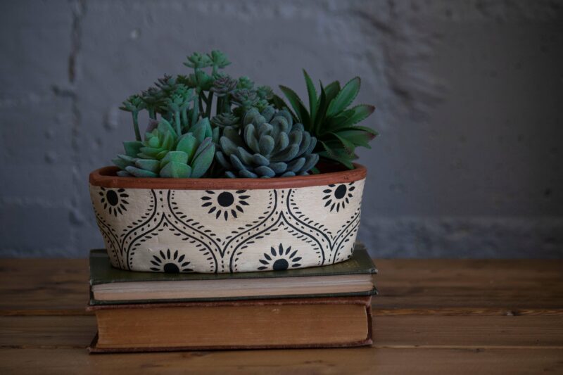 Jenica Terracotta Oval Planter